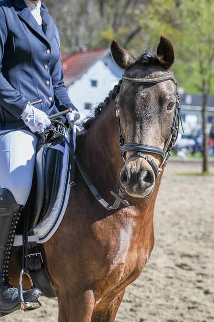 僅停留於成 僅停留於成
