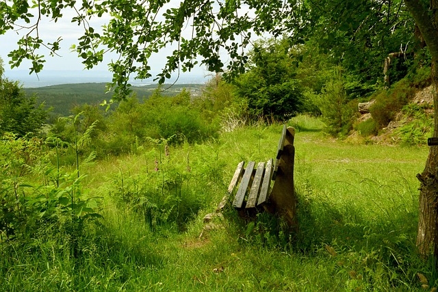 球队转型 球队转型