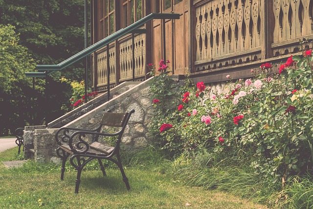 场的情况下 场的情况下