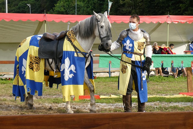 豪门的年轻 豪门的年轻