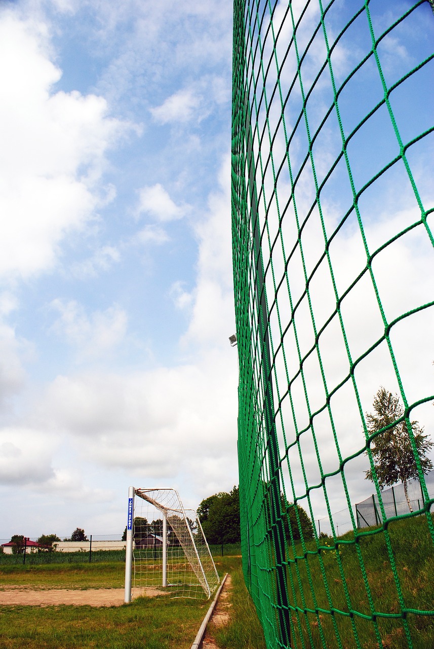 加强心理互 加强心理互