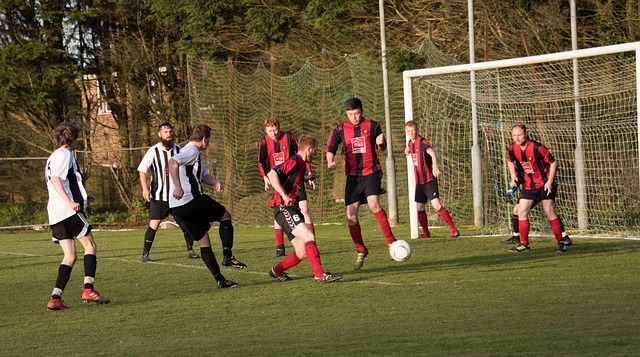 取得显著进 取得显著进