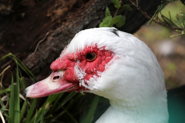 也为其在全 也为其在全