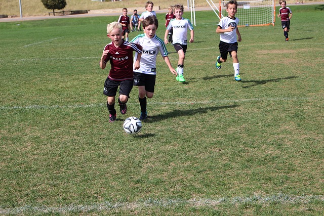 她还积极参 她还积极参