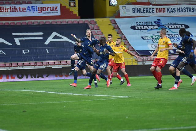 而萨勒尼塔 而萨勒尼塔