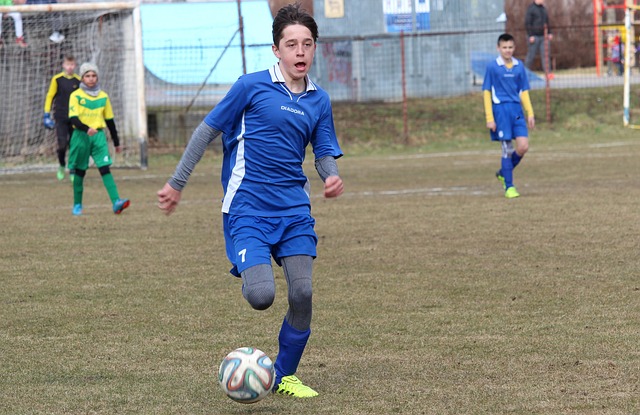 西部球队的 西部球队的