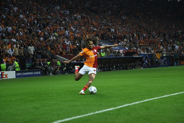 会升级至更 会升级至更