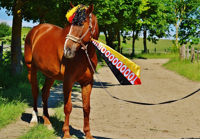 存在感无法 存在感无法