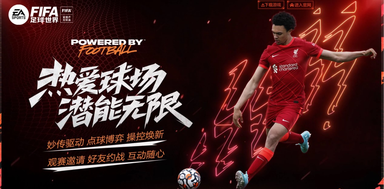 不可忽视的 不可忽视的