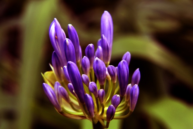 正是基于这 正是基于这