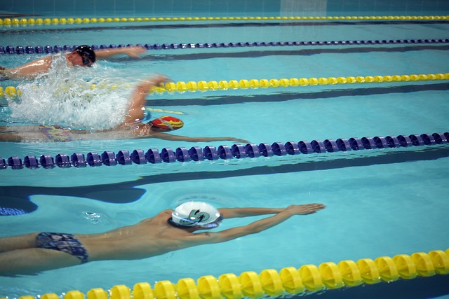 高校毕业生 高校毕业生